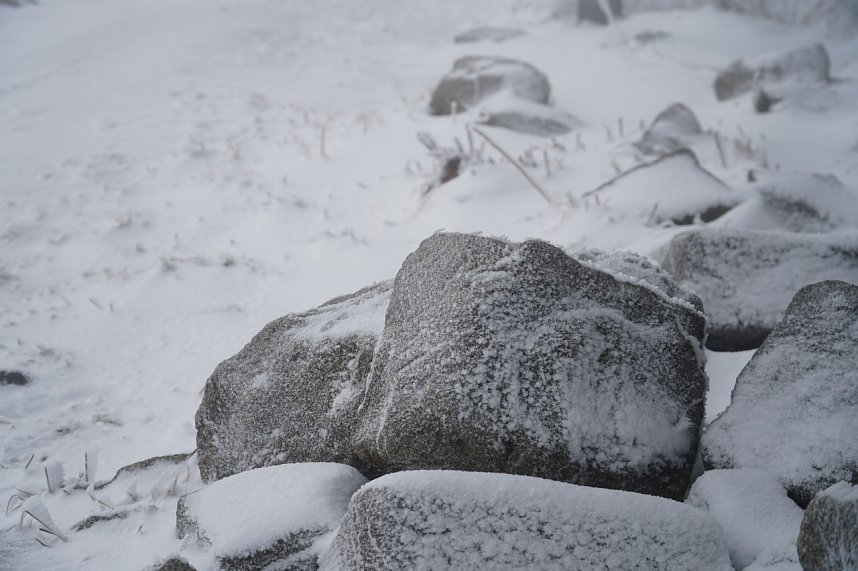 Heiligabend noch schnell auf den Brocken (2019)