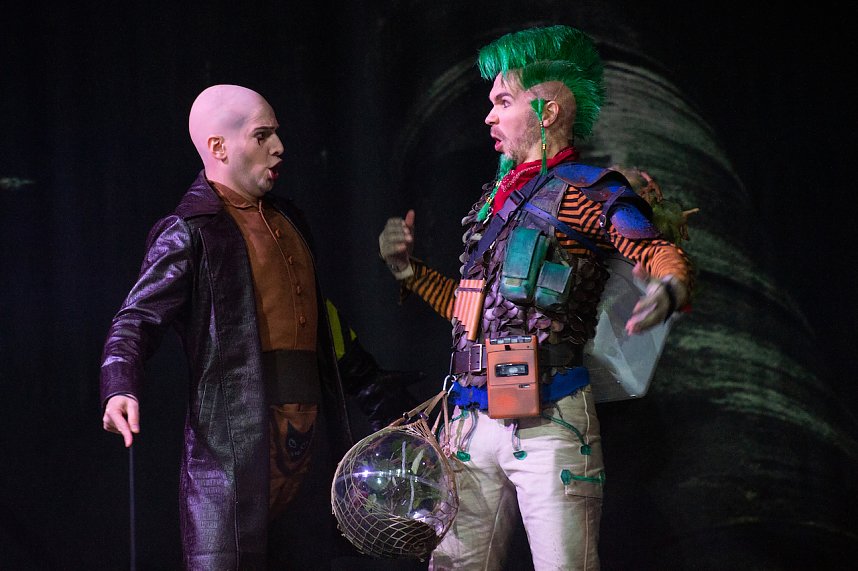 Die Zauberfl&ouml;te