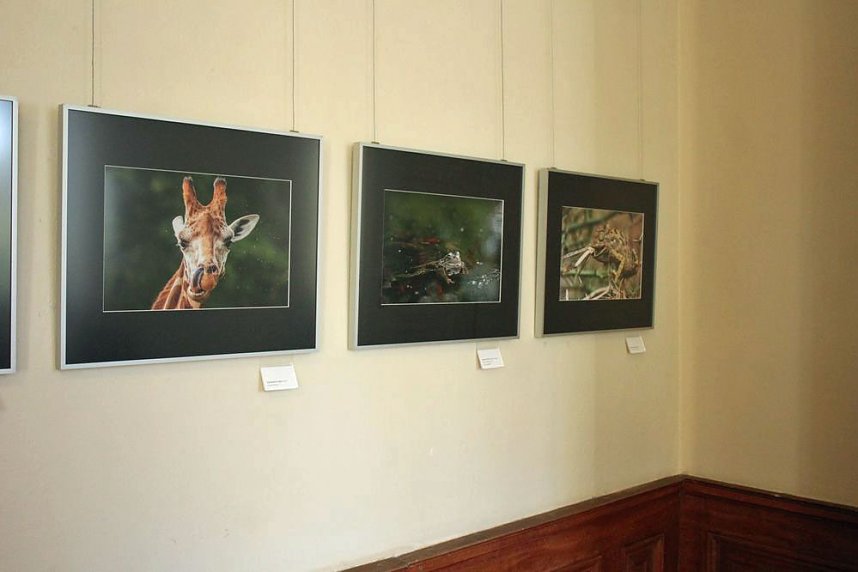 Landesfotoschau Th&uuml;ringen in Sondershausen zu Gast