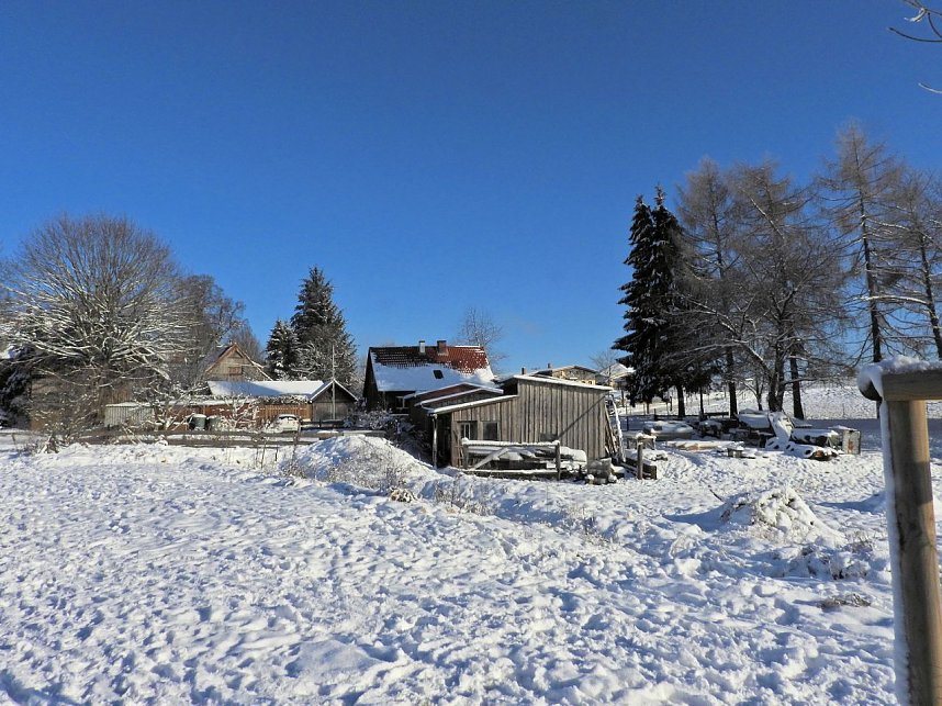 Winterliche Harzimpressionen