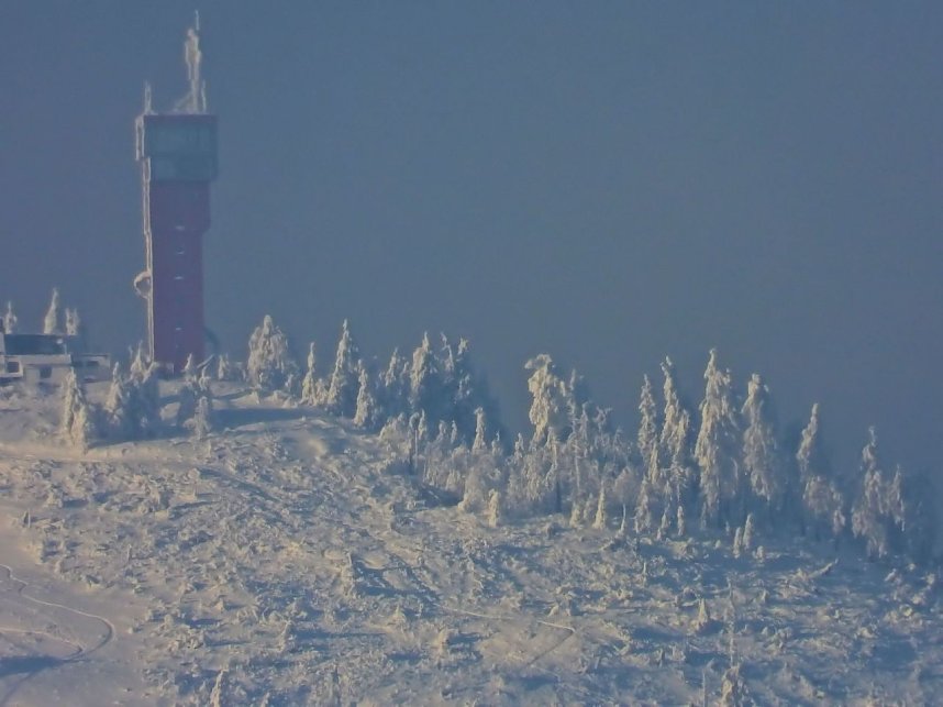 Winterliche Harzimpressionen