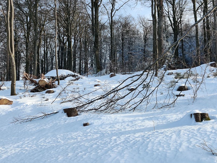 Ausflug zum Josephskreuz