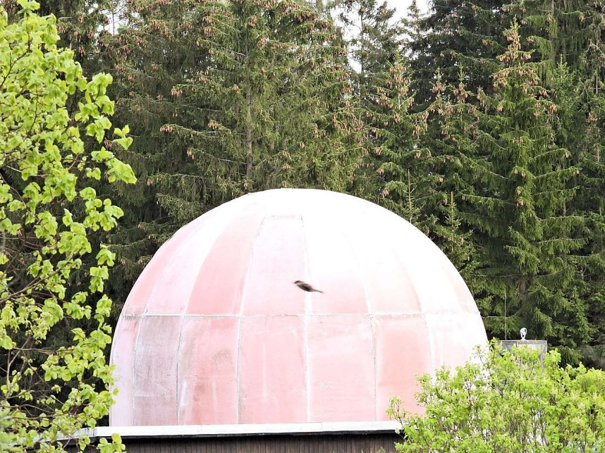 Peter Blei unterwegs bei Benneckenstein