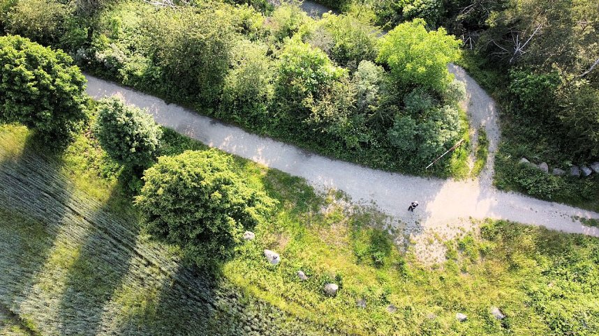 Ausflug zum Muldestausee