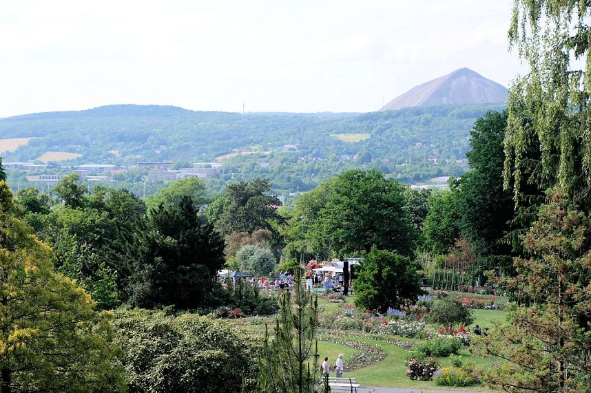 Kr&ouml;nung der Rosenk&ouml;nigin in Sangerhausen
