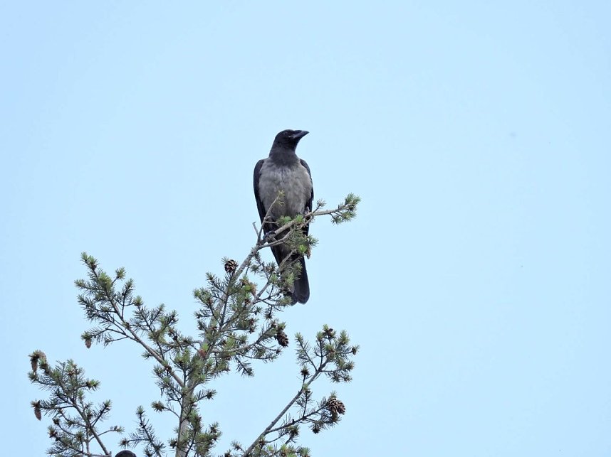 Im W&ouml;rlitzer Park