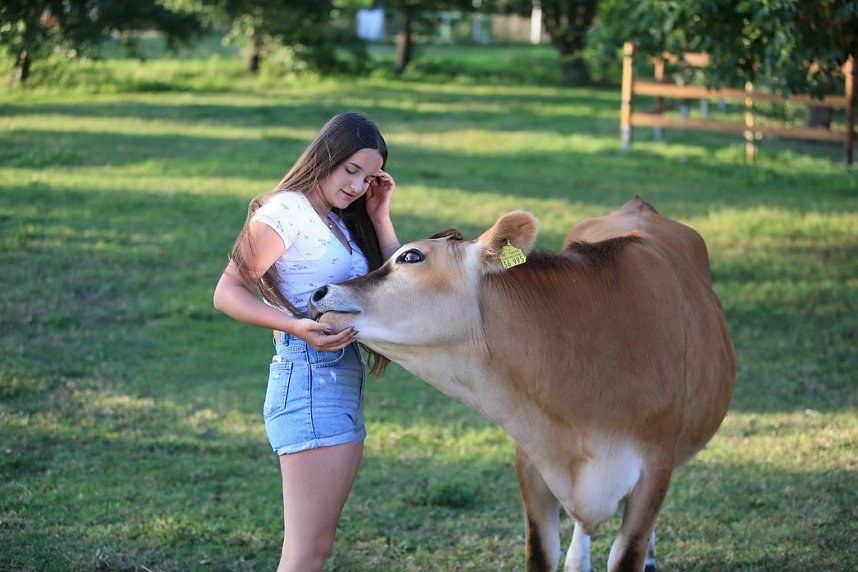 Eine ungew&ouml;hnliche Freundschaft