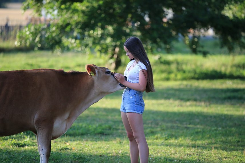 Eine ungew&ouml;hnliche Freundschaft