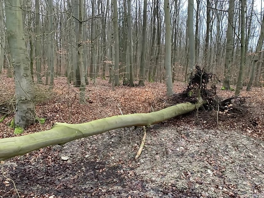 Bilder vom Unfallort 2020