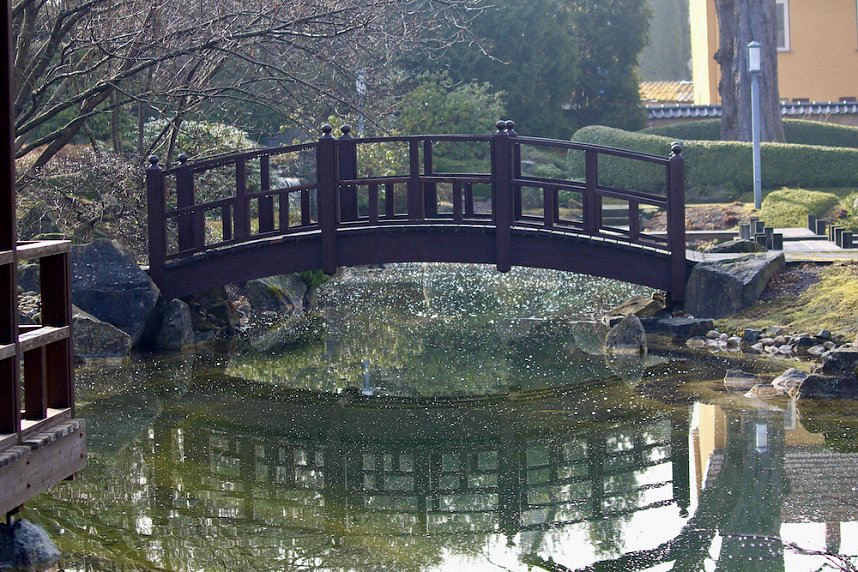 Auf der Suche nach Sakura und Samurai