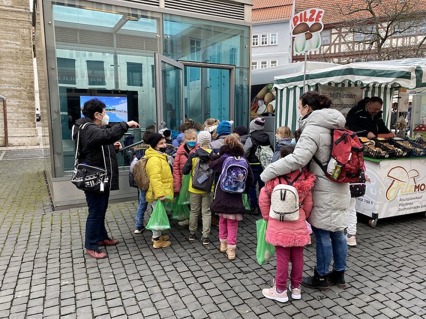 Auf der Suche nach Sakura und Samurai