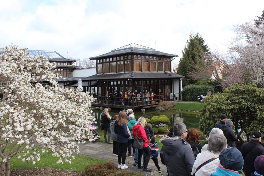 Impressionen vom Kirschbl&uuml;tenfest 2022