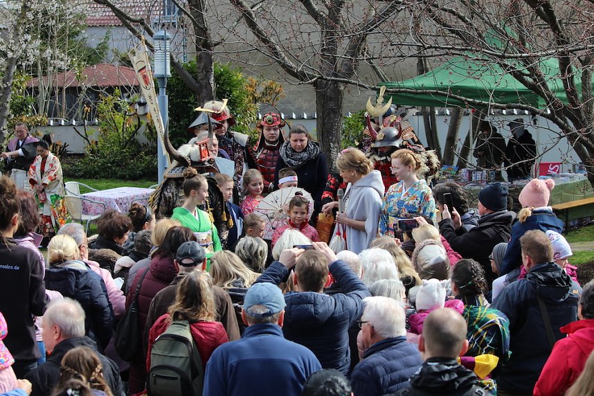 Impressionen vom Kirschbl&uuml;tenfest 2022