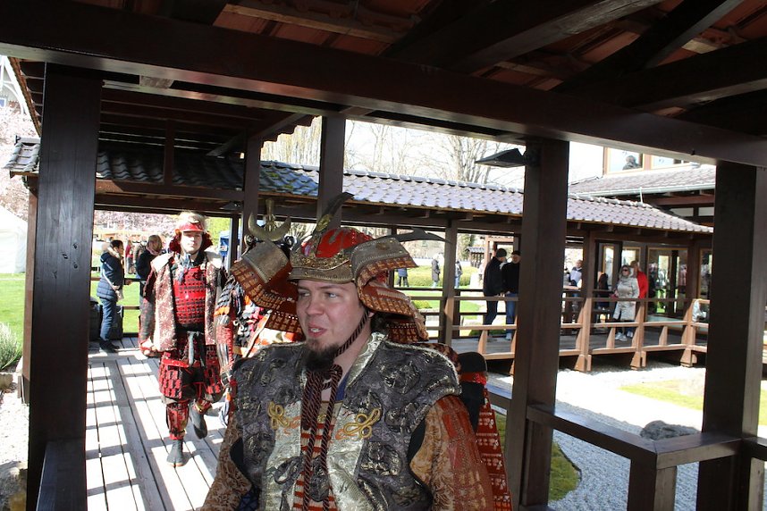 Impressionen vom Kirschbl&uuml;tenfest 2022