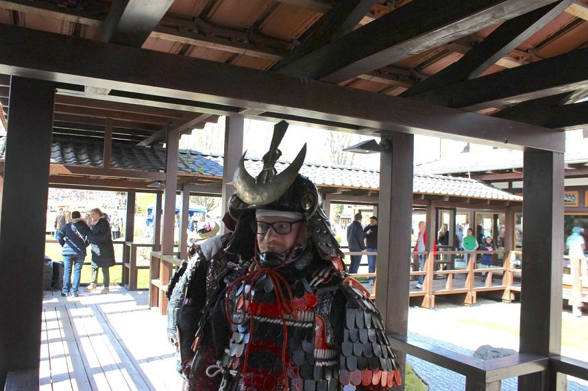 Impressionen vom Kirschbl&uuml;tenfest 2022