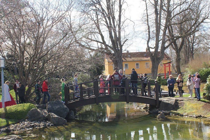 Impressionen vom Kirschbl&uuml;tenfest 2022