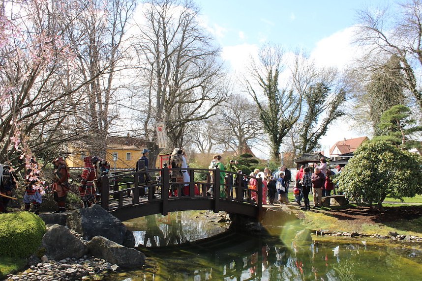 Impressionen vom Kirschbl&uuml;tenfest 2022