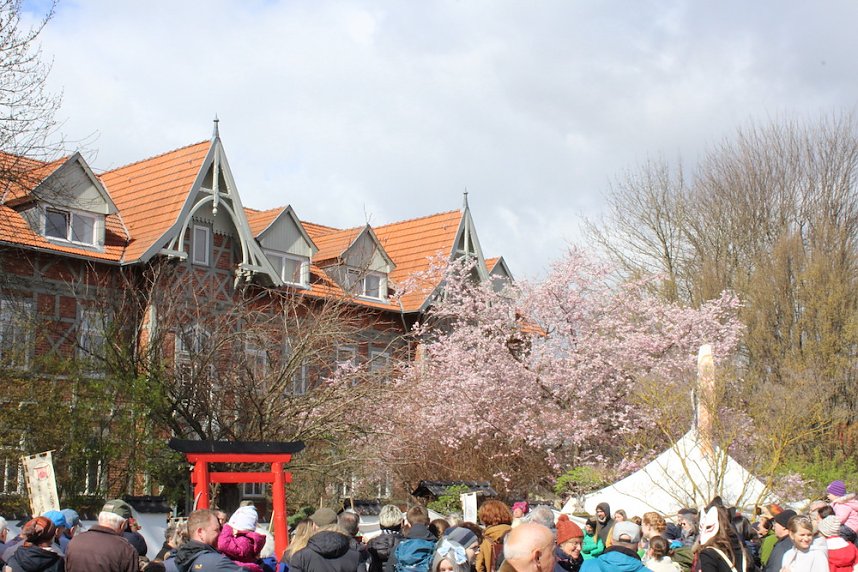 Impressionen vom Kirschbl&uuml;tenfest 2022