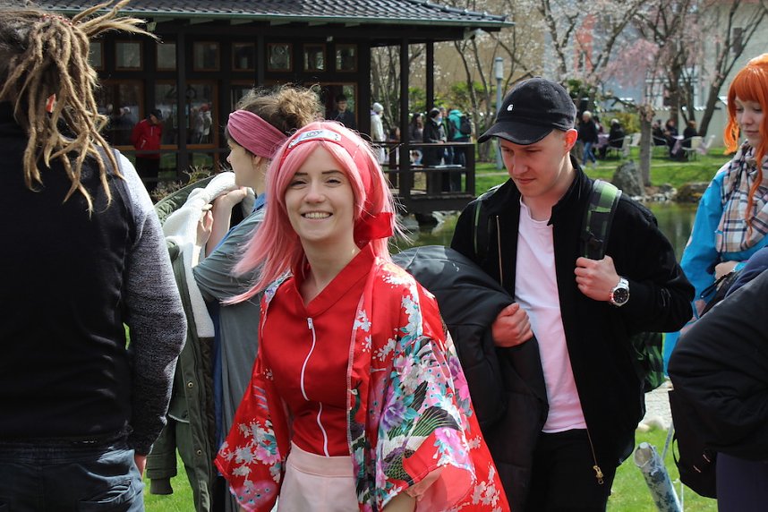 Impressionen vom Kirschbl&uuml;tenfest 2022