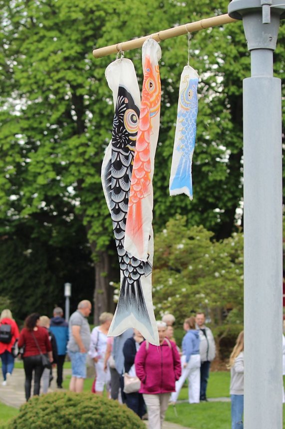 Kodomo No Hi, das Kinderfest, heute Nachmittag im Japanischen Garten