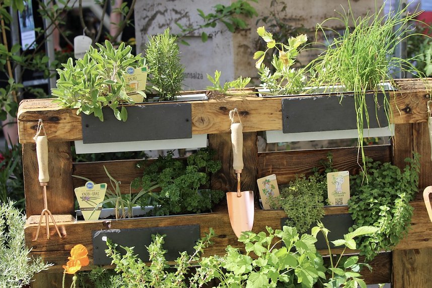 Gr&uuml;nes Innenstadtfest Bad Langensalza