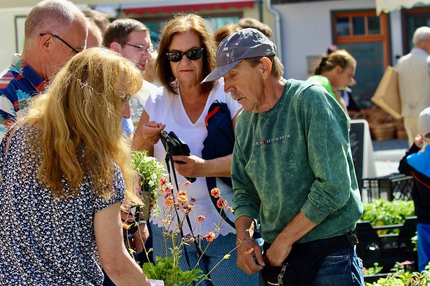 Gr&uuml;nes Innenstadtfest Bad Langensalza