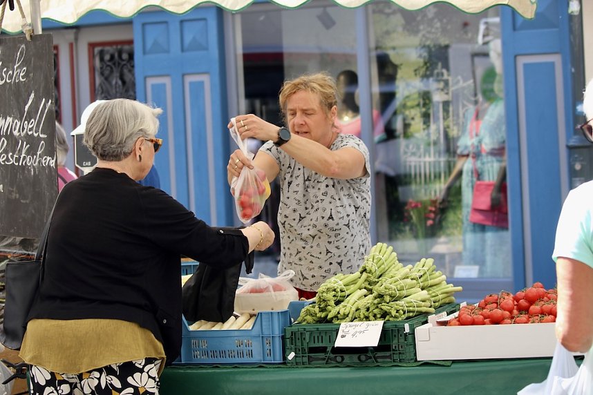 Gr&uuml;nes Innenstadtfest Bad Langensalza