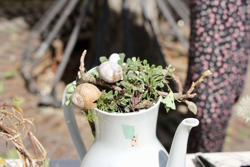 Gr&uuml;nes Innenstadtfest Bad Langensalza