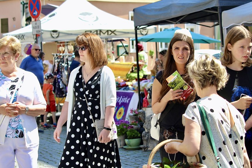 Innenstadtfest in Bad Langensalza