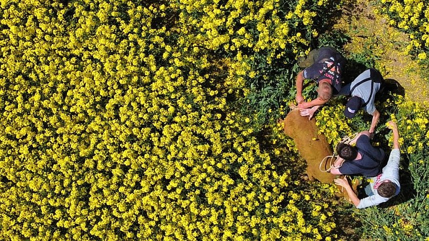 Ausgeb&uuml;chste Kuh eingefangen