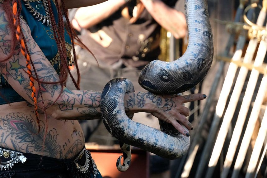 Ritterspektakel auf der Ronneburg zum Pfingstsamstag