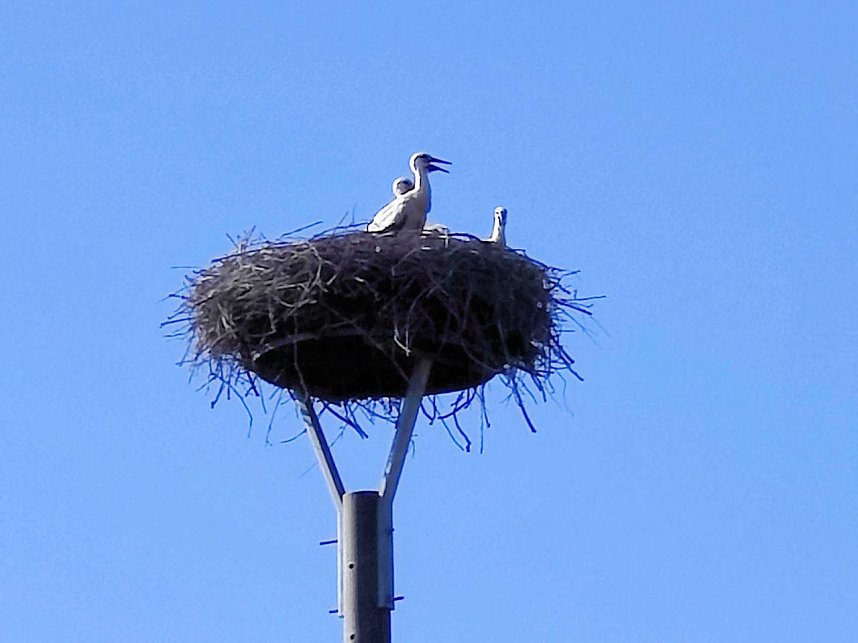 Peter Blei unterwegs in Je&szlig;nitz