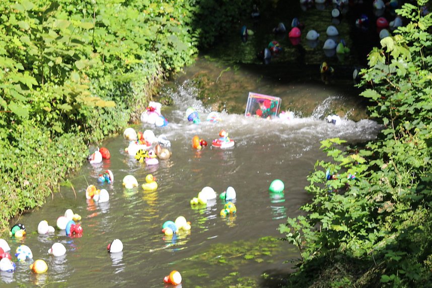 Am Start und an der Strecke des Entenrennens 2022