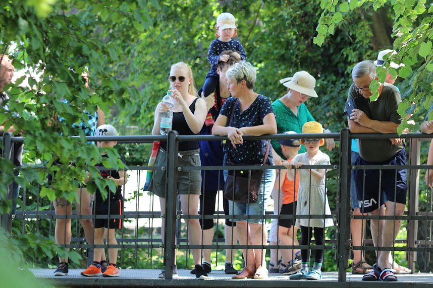 Am Start und an der Strecke des Entenrennens 2022