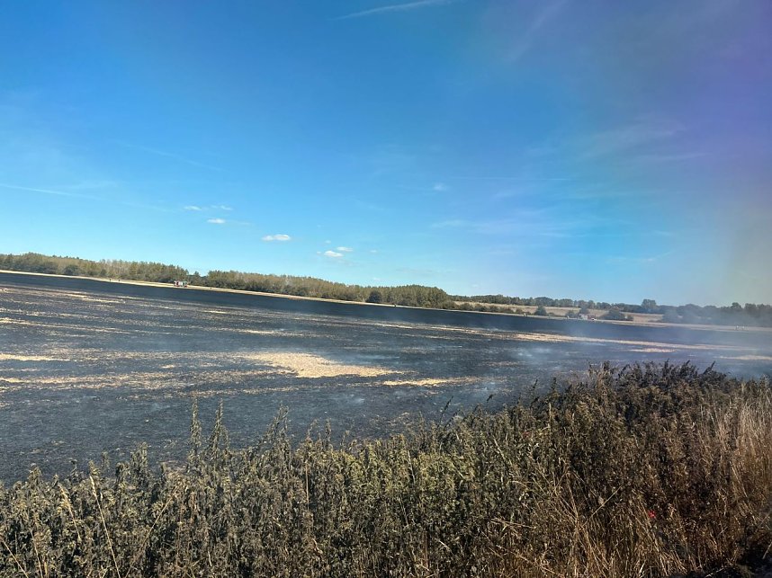 Feldbrand Bein Obermehler