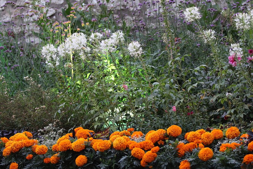 Extralange Sommerlaune gestern Abend in Bad Langensalza