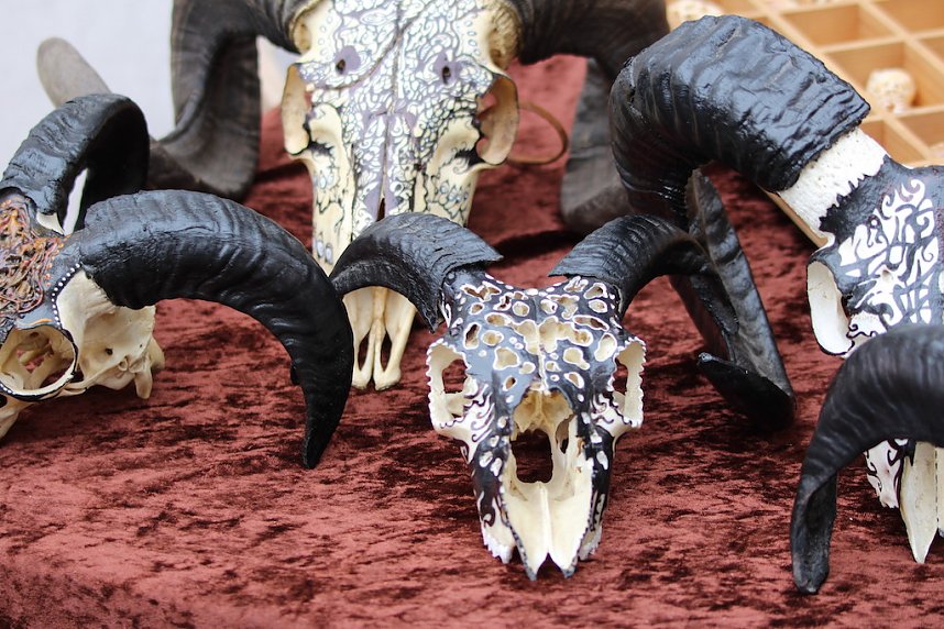 Impressionen vom Mittelalterstadtfest