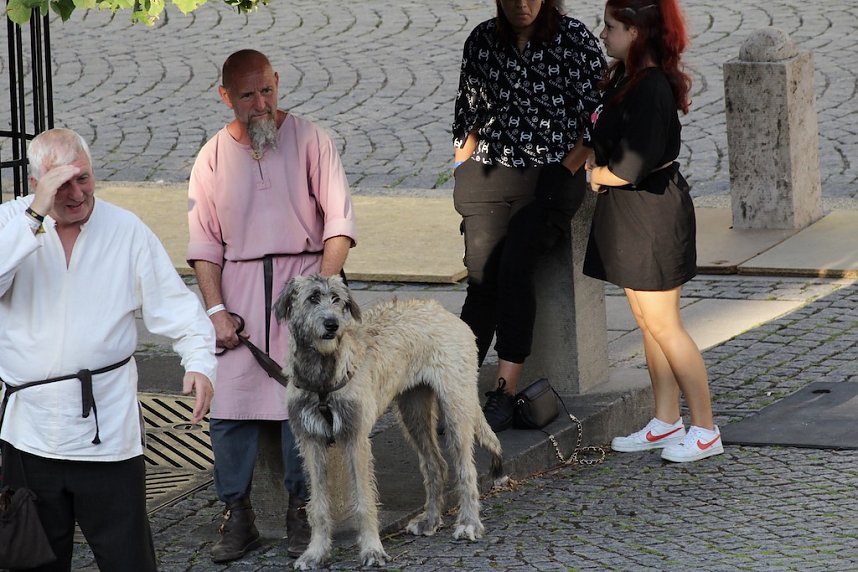 Mit einem phantastischen Spektakel und die Verabschiedung aller Akteure, endete das 28. Mittelalterfest von Bad Langensalza