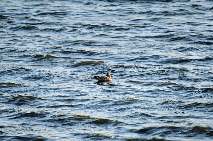 Abendliche Impressionen im Fr&uuml;hherbst
