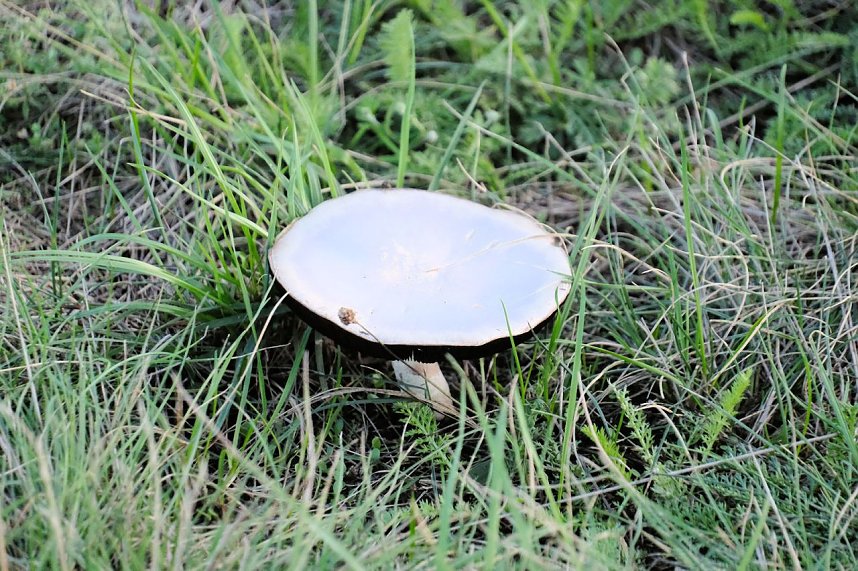 Abendliche Impressionen im Fr&uuml;hherbst