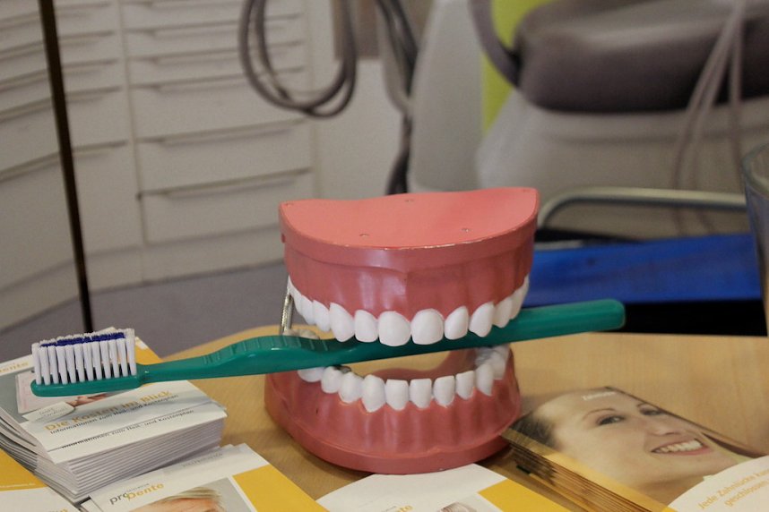 Tag der Zahngesundheit in der Rumpelburg 