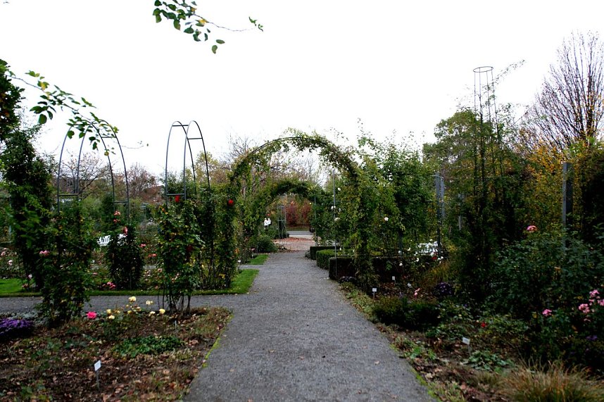 Saisonabschluss im Rosarium