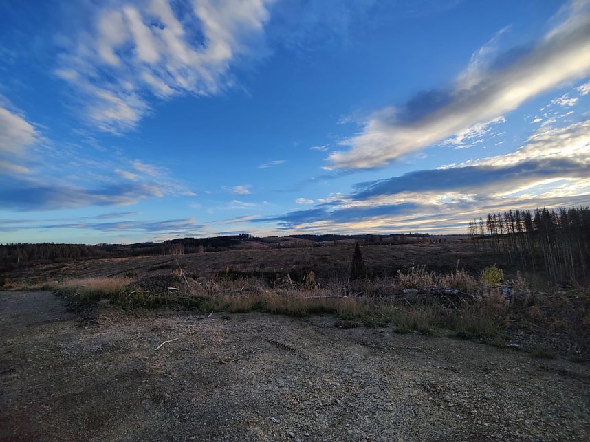 Peter Blei unterwegs im Harz
