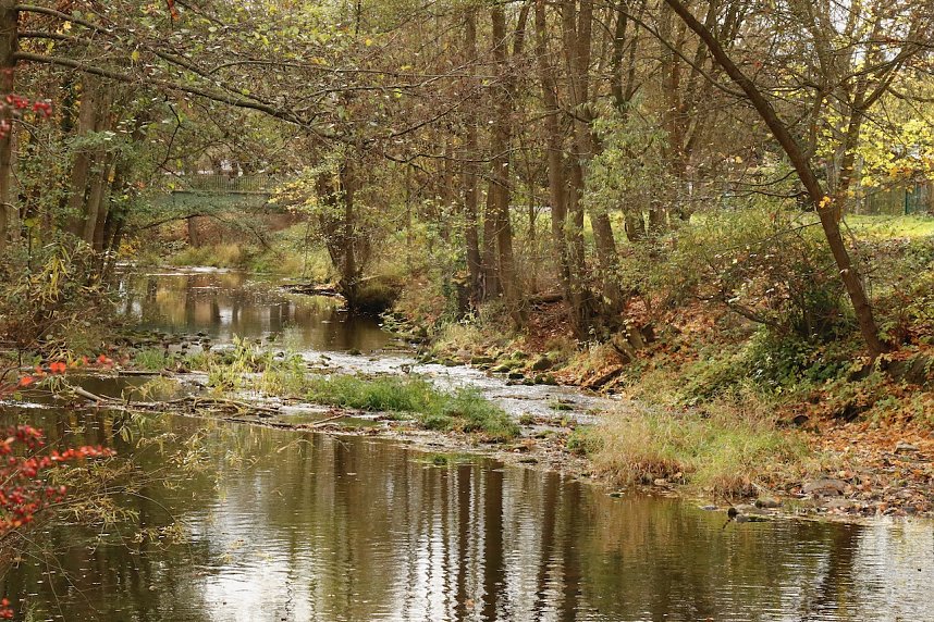 Wo ist all das Wasser hin? - Trockenheit und Niedrigwasser haben das Jahr bestimmt