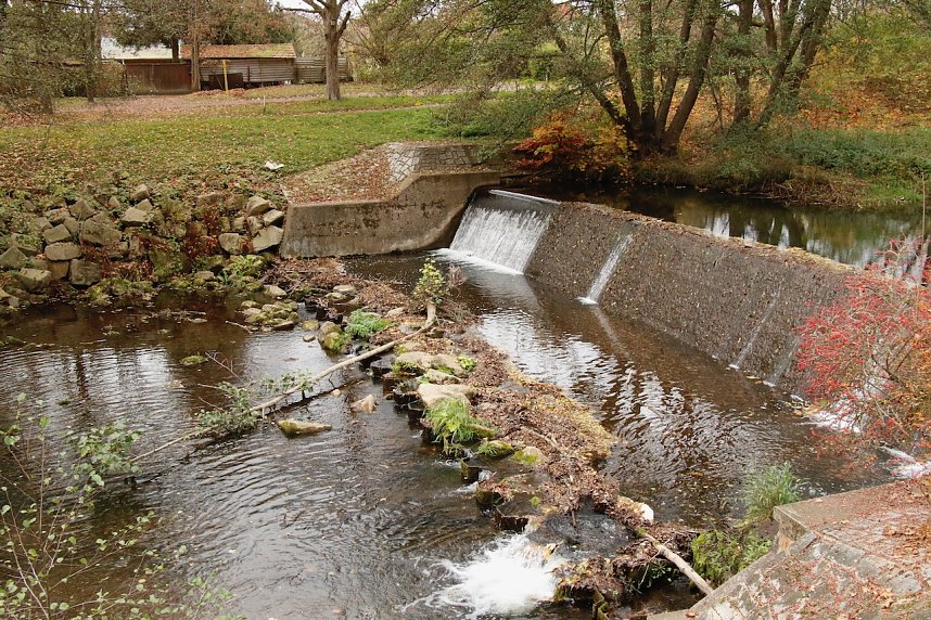 Wo ist all das Wasser hin? - Trockenheit und Niedrigwasser haben das Jahr bestimmt