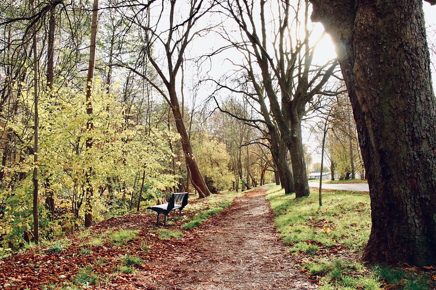 Wo ist all das Wasser hin? - Trockenheit und Niedrigwasser haben das Jahr bestimmt