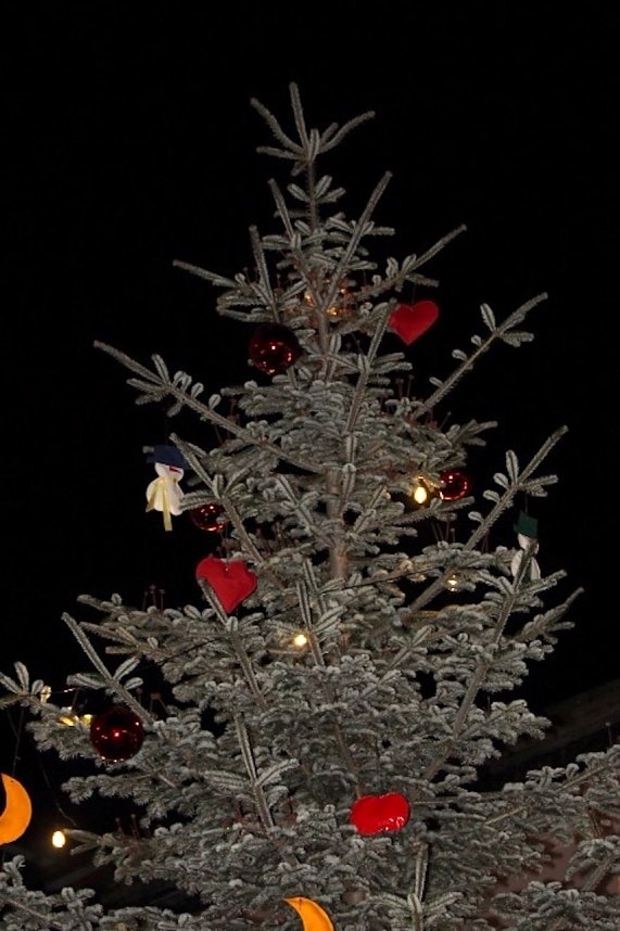 Der Bad Langensalzaer Weihnachtsmarkt ist er&ouml;ffnet