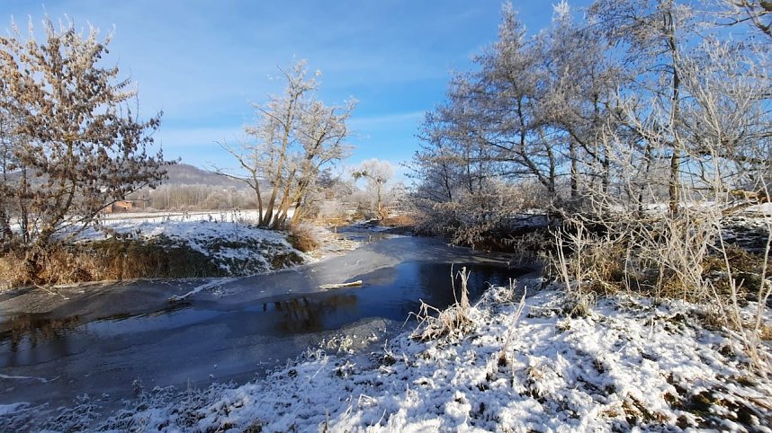 Winterimpressionen, aufgenommen an der Wipper