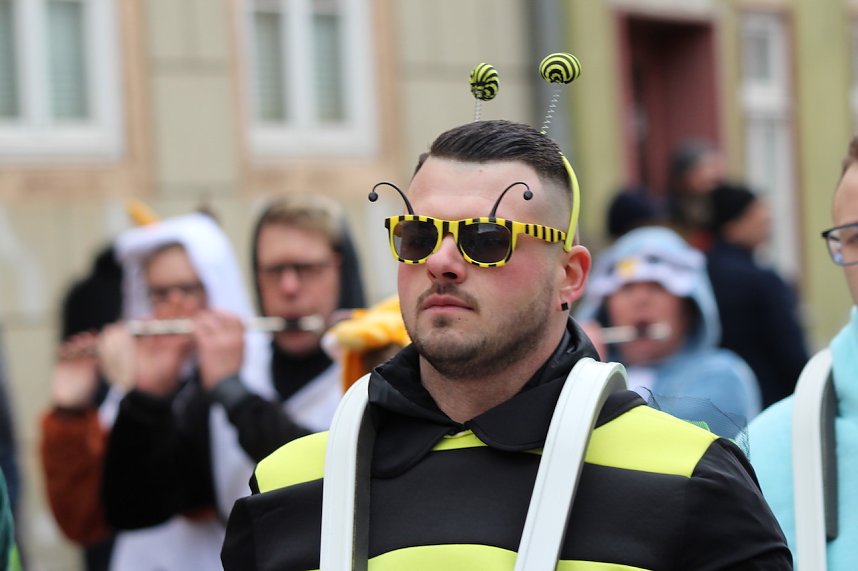 Fr&ouml;hlichbunter Karnevalsumzug in und um Bad Langensalza