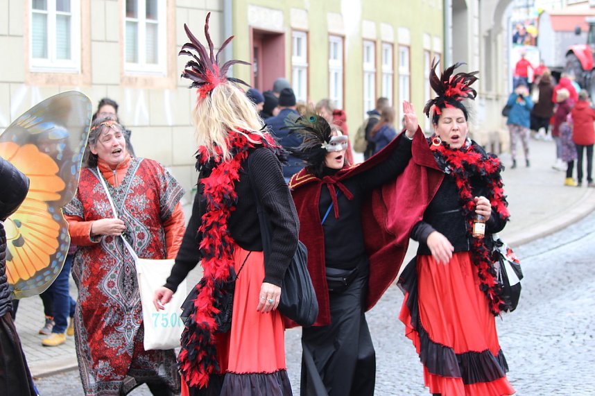Fr&ouml;hlichbunter Karnevalsumzug in und um Bad Langensalza